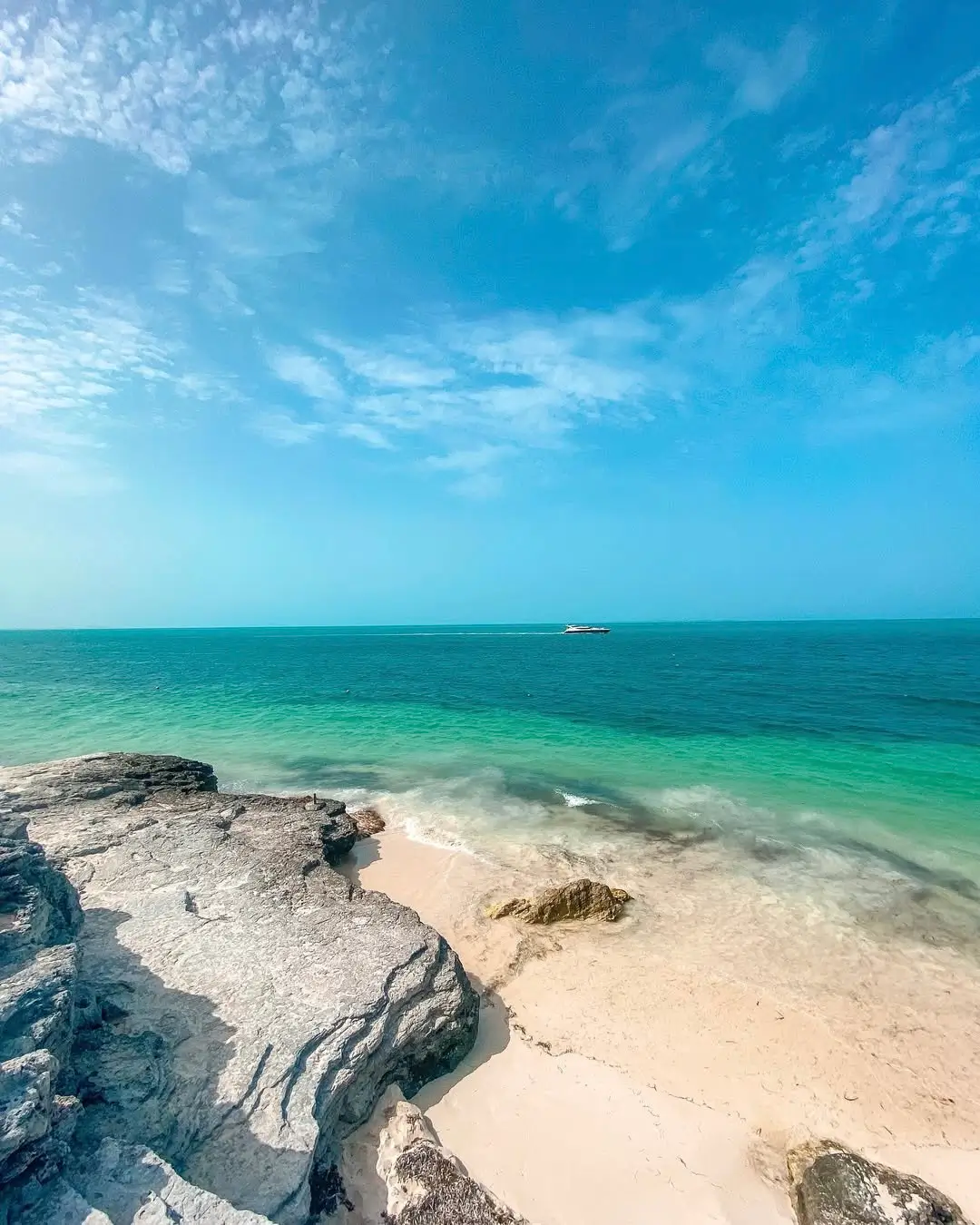 vista panorámica de playa tortugas en cancún
