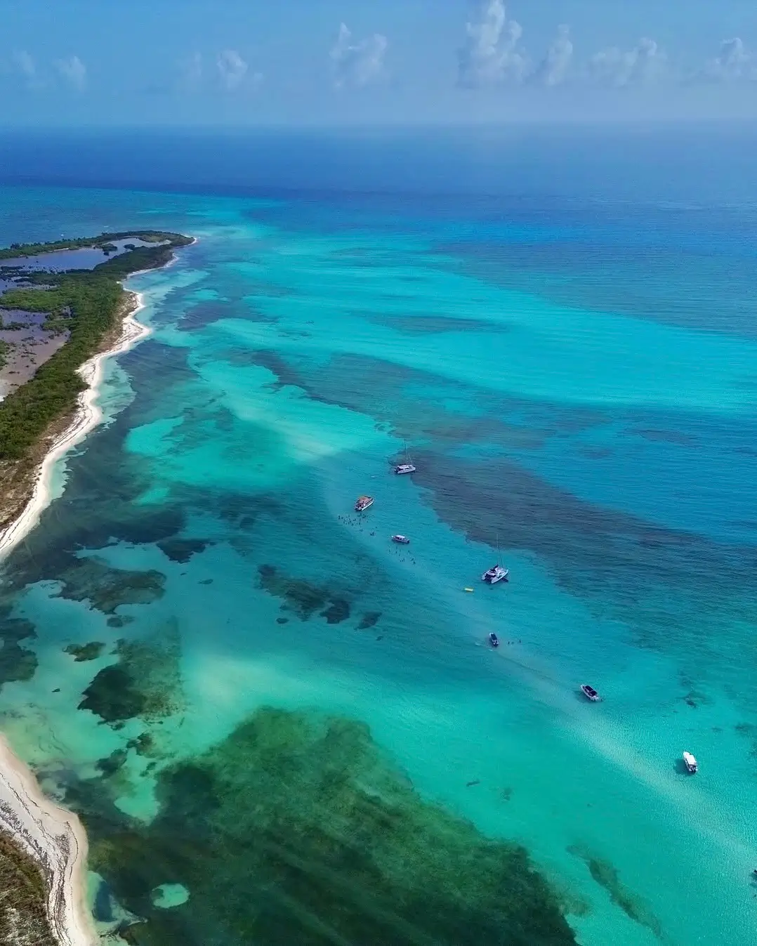 Sargazo en Playa El Cielo en Cozumel