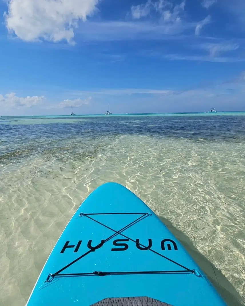 Playa El Cielito en Cozumel Sargazo