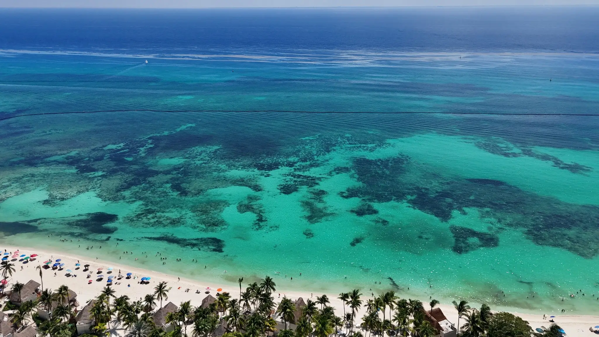 Sargazo Hoy 29 de Septiembre 2025 en Playa del Carmen