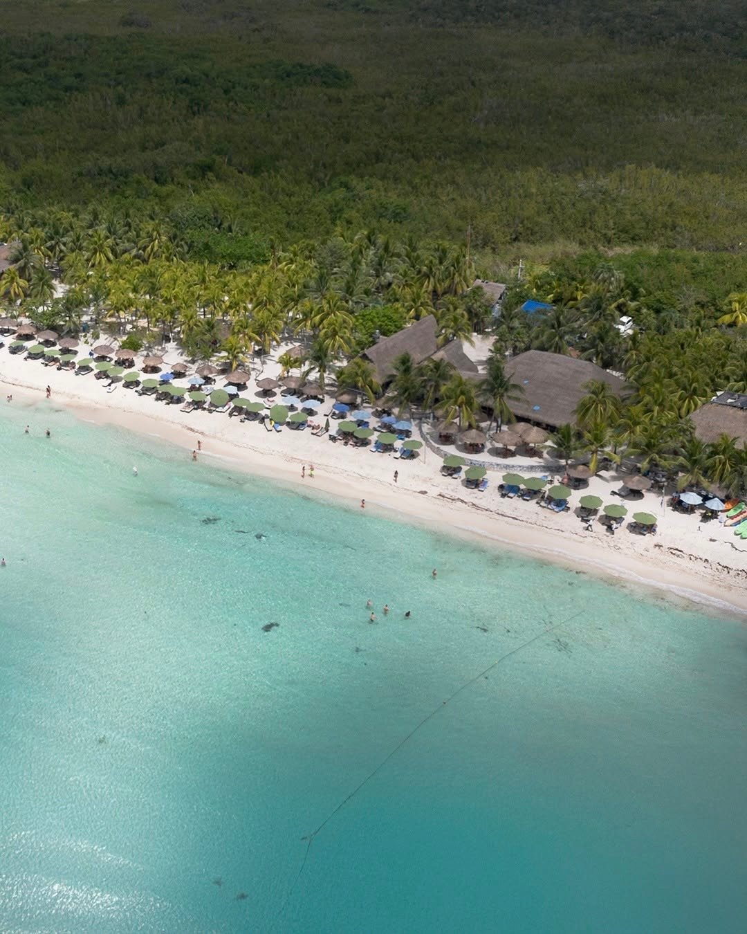 Playa palancar beach club cozumel