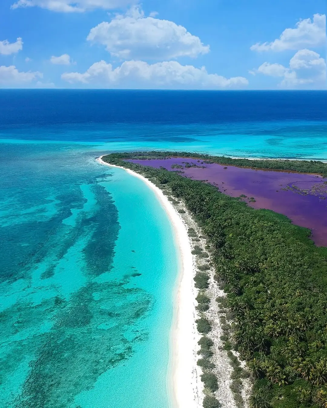 playa punta sur en cozumel