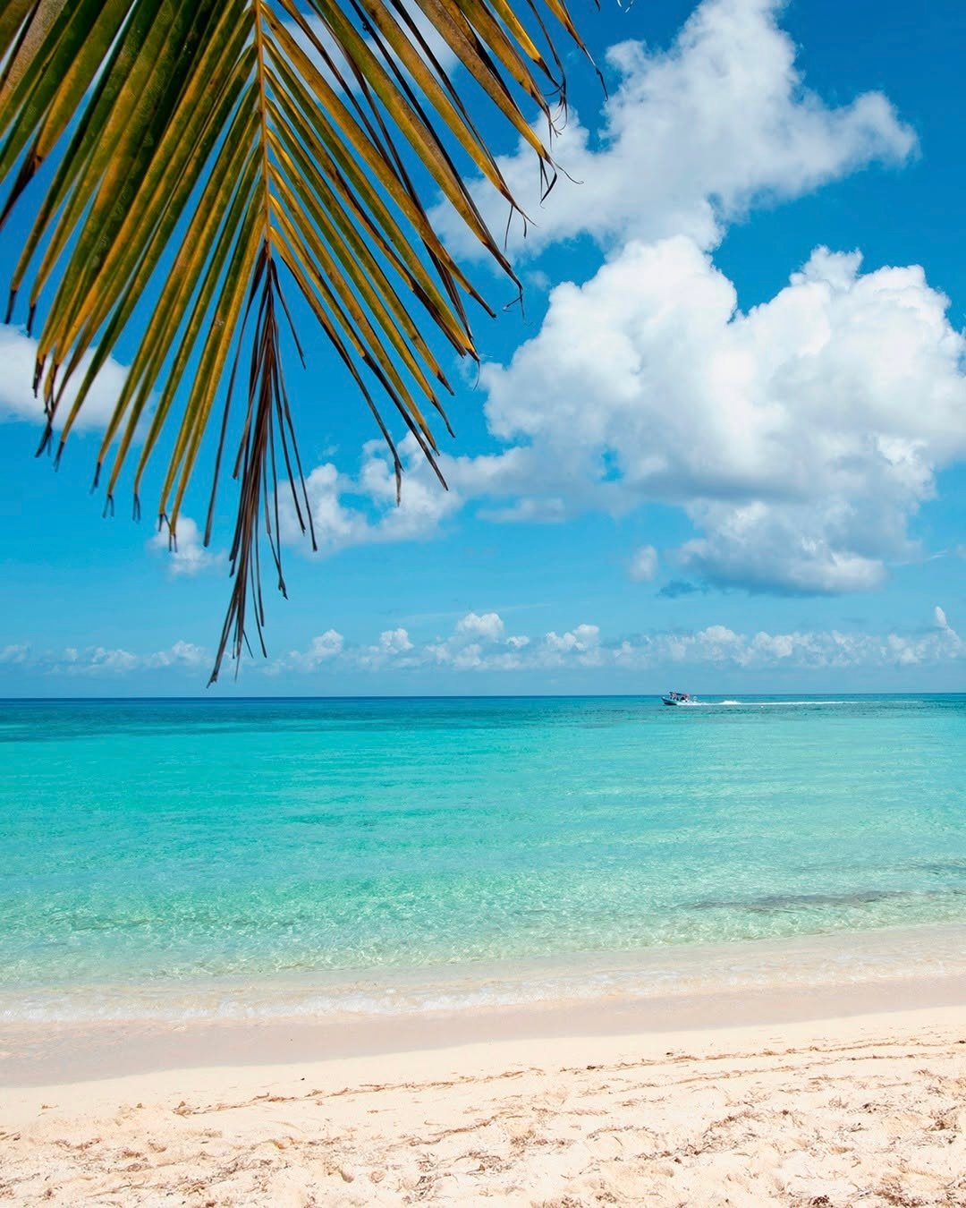 Playas en Costa Mujeres
