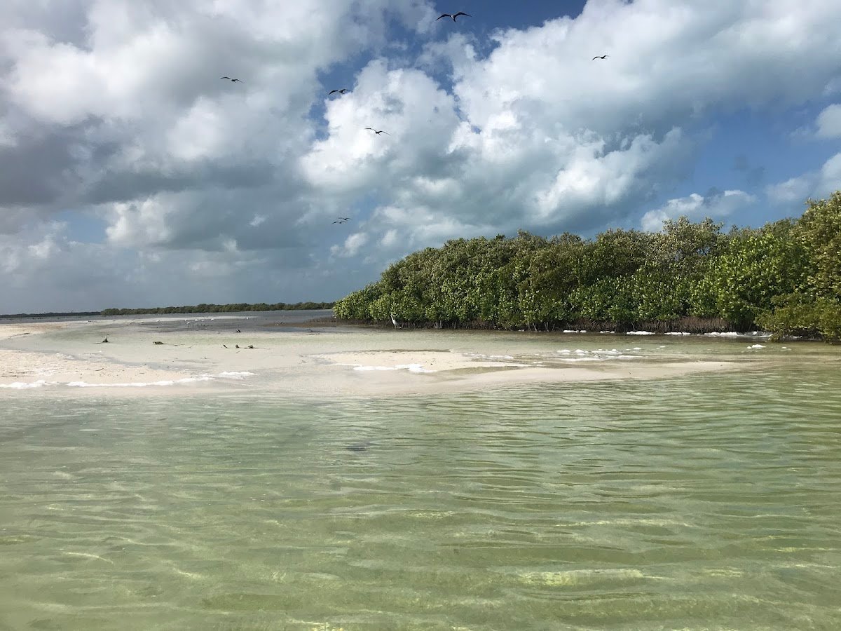 Playas en Holbox