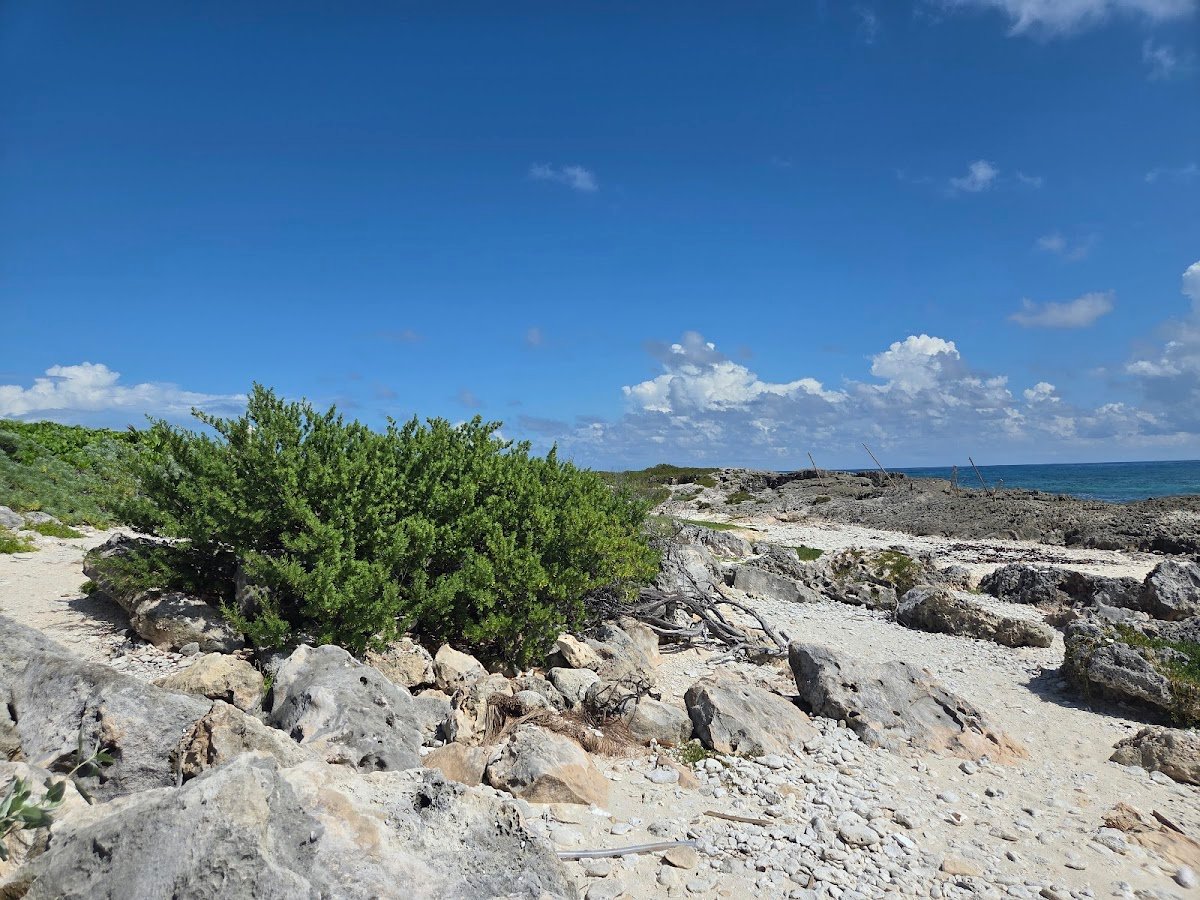 Playa El Mirador