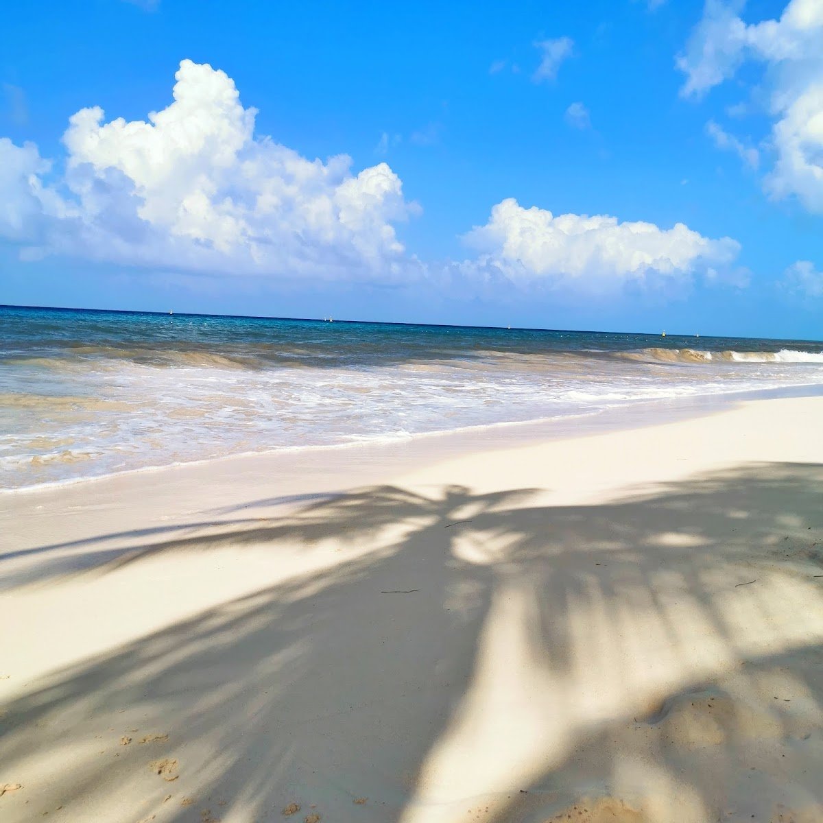Playa Punta Norte