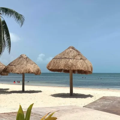 sargazo en playa las perlas en cancún