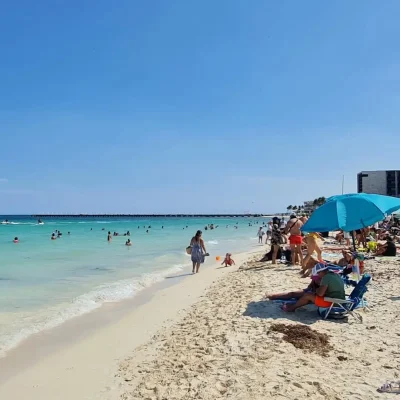 sargazo en playa mamitas playa del carmen