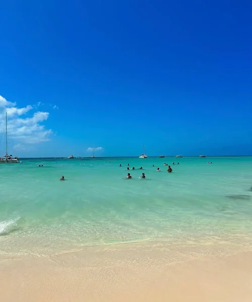 sargazo en playa norte en isla mujeres cancun