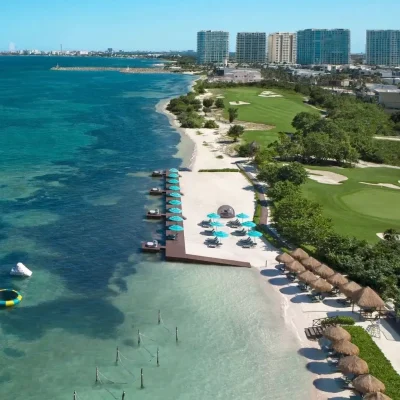 Sargazo en Playa Puerta del Mar e Sargazo Info