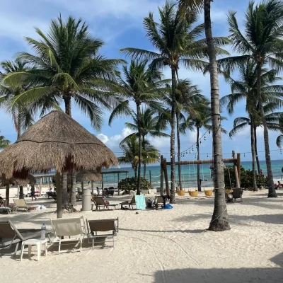 sargazo hoy en playa vidanta en playa del carmen