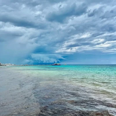 sargazo hoy en playacar fase 1 playa del carmen