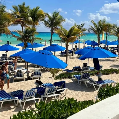 sargazo hoy en playacar fase 2 playa del carmen