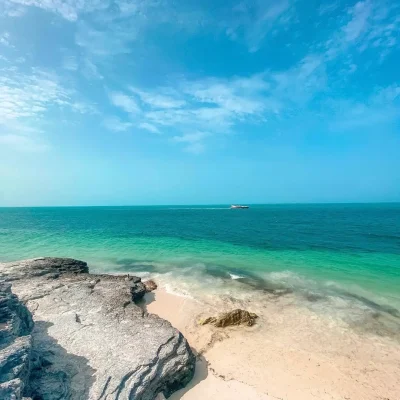 vista panorámica de playa tortugas en cancún