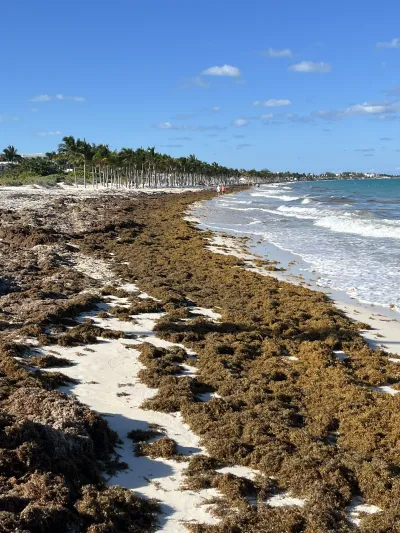 Foto de la comunidad