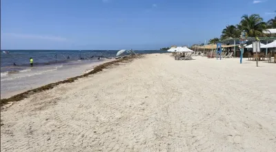 Foto de Edu