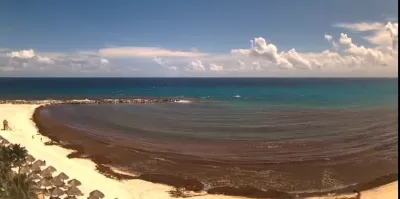Foto de la comunidad